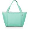 Picnic TIME Topanga Tote Cooler Bag, Versatile Insulated Cooler Bag with 24-Can Capacity, Soft Insulated Tote with Water-Resistant Interior Liner, Long Straps, and Exterior Pocket, (Teal)(Teal)