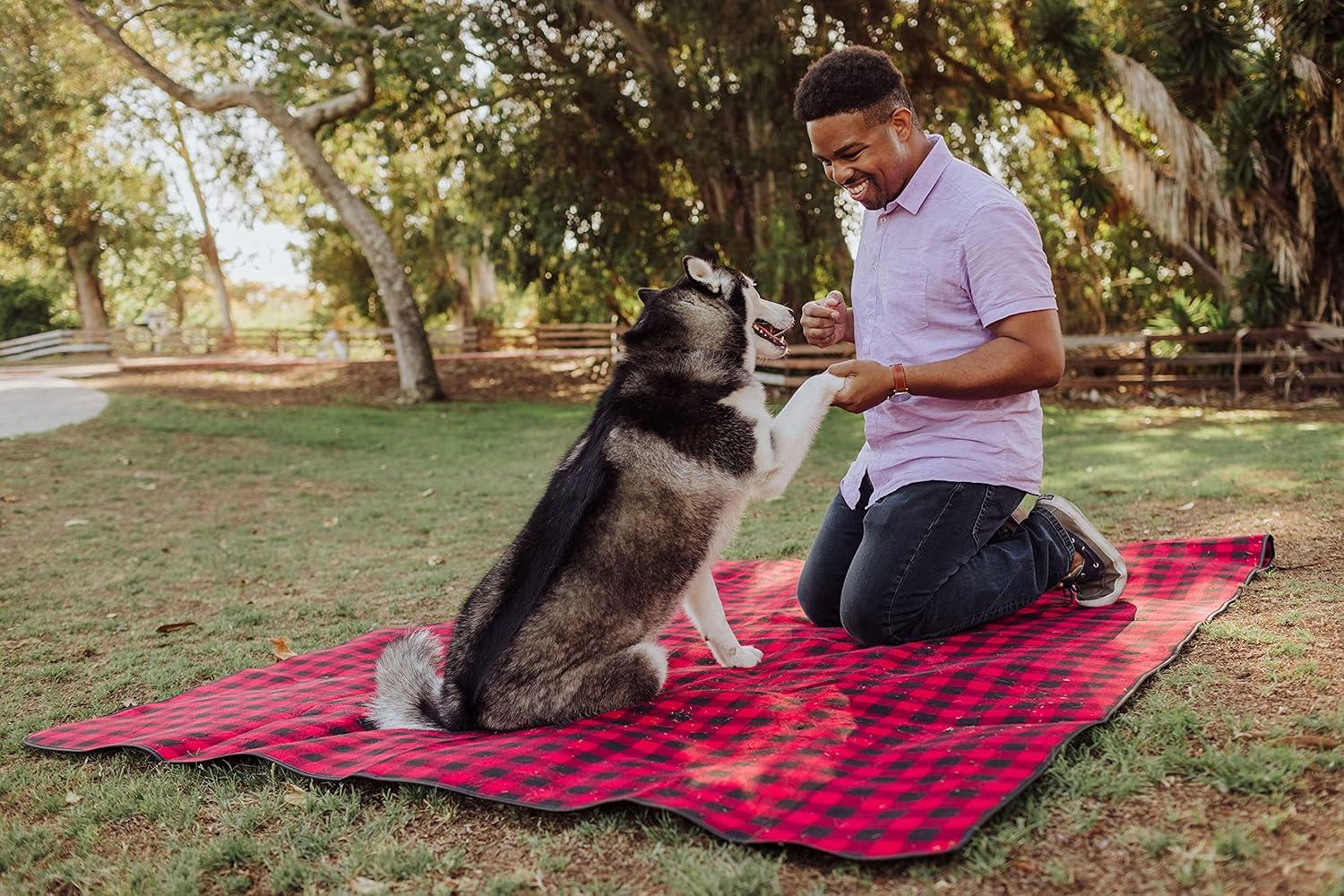 imageMickey Mouse Blanket Tote Outdoor Picnic Blanket Red ampamp Black Buffalo Plaid Pattern