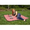 PICNIC TIME Friends Central Perk Vista Outdoor Picnic Blanket & Tote, Beach Blanket, Camping Blanket, (Red & White Gingham Pattern with Navy Blue Exterior)