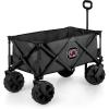 South carolina gamecocks