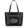 PICNIC TIME Transitional, Black(Florida Gators)