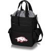 PICNIC TIME(Arkansas Razorbacks)