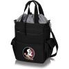 PICNIC TIME(Florida State Seminoles)