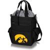 PICNIC TIME(Iowa Hawkeyes)