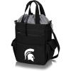 PICNIC TIME(Michigan State Spartans)