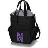 PICNIC TIME(Northwestern Wildcats)