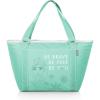 Picnic TIME Disney Princess, Soft Cooler Bag, Picnic Cooler(Disney Princess Frozen 2 Elsa – Teal)