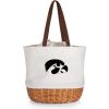 Iowa Hawkeyes