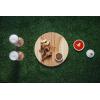PICNIC TIME NCAA Arizona Wildcats Homerun! Bamboo Cutting Board with Team Logo(Wake Forest Demon Deacons)