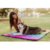 Picnic TIME NFL Vista Outdoor Picnic Blanket & Tote, Beach Blanket, Camping Blanket, (Rainbow with Black)(Jacksonville Jaguars)