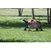 Picnic Time NFL Adventure Wagon(Buffalo Bills)