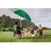 PICNIC TIME NCAA Alabama Crimson Tide Sports Chair with Side Table, Beach Chair, Camp Chair for Adults, (Black)(Hunter Green)